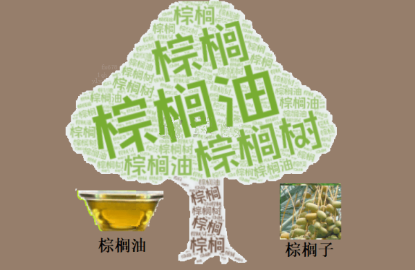 股盈汇 棕榈油周线三连跌！技术面超卖，但空头仍在“控场”？