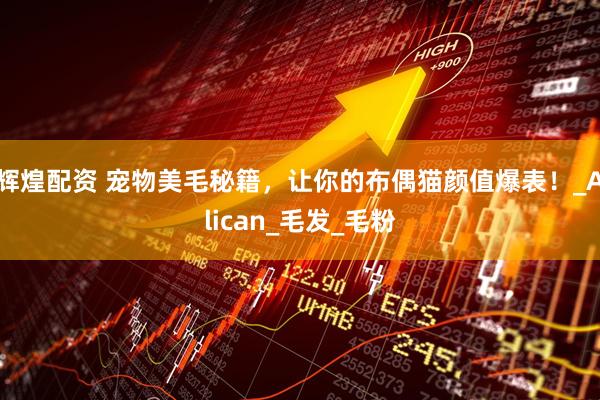辉煌配资 宠物美毛秘籍，让你的布偶猫颜值爆表！_Alican_毛发_毛粉