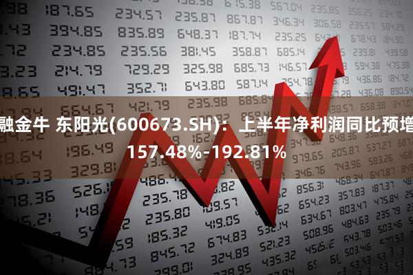 融金牛 东阳光(600673.SH)：上半年净利润同比预增157.48%-192.81%