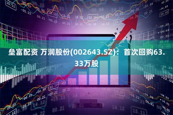 垒富配资 万润股份(002643.SZ)：首次回购63.33万股