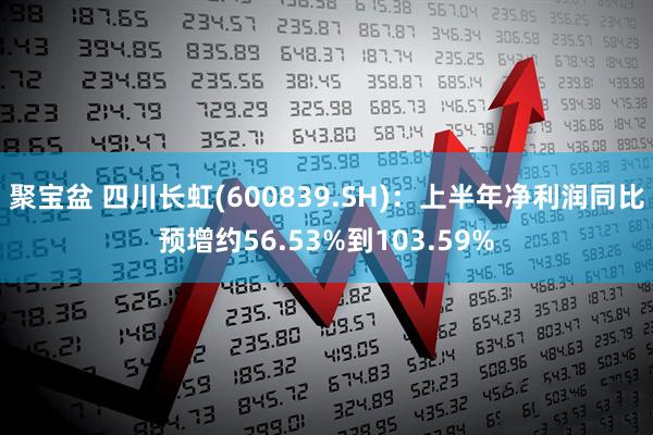 聚宝盆 四川长虹(600839.SH)：上半年净利润同比预增约56.53%到103.59%