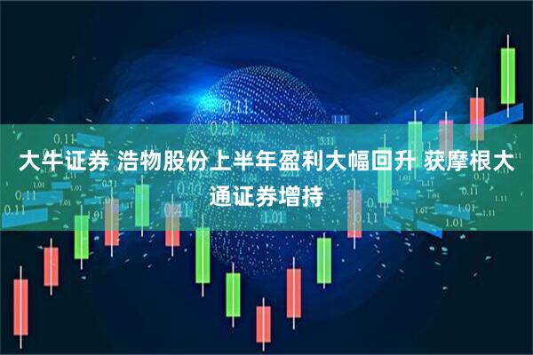 大牛证券 浩物股份上半年盈利大幅回升 获摩根大通证券增持