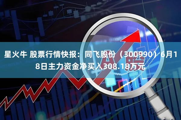星火牛 股票行情快报：同飞股份（300990）6月18日主力资金净买入308.18万元