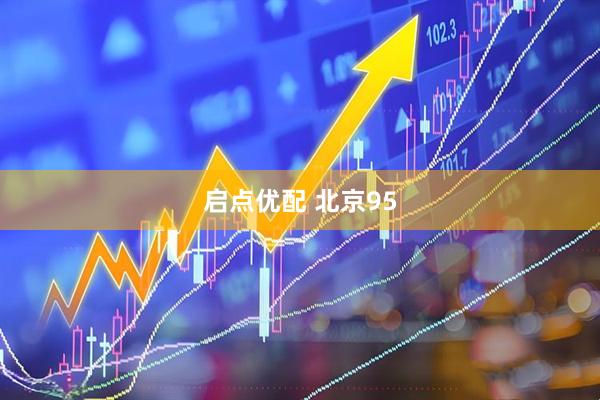 启点优配 北京95